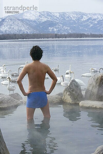 Japaner in heißer Quelle  Singschwäne (Cygnus cygnus)  Kussharo-See  Hokkaido  Singschwan  Japan  Asien