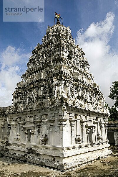 Turm Gopuram im Adinath Jain-Tempel im Dorf Vidur in der Nähe von Tindivanam  Tamil Nadu  Südindien  Indien  Asien