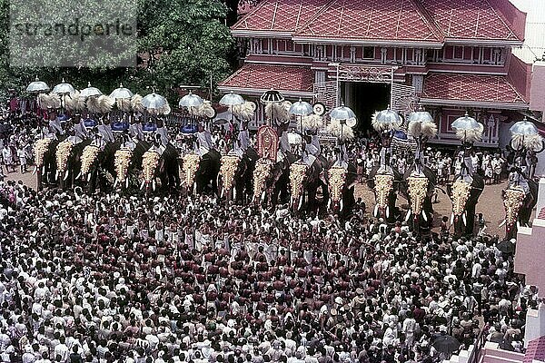 Zuschauer bei der Elefantenprozession vor dem Paramekkavu-Tempel beim Pooram-Fest in Thrissur Trichur  Kerala  Südindien  Indien  Asien