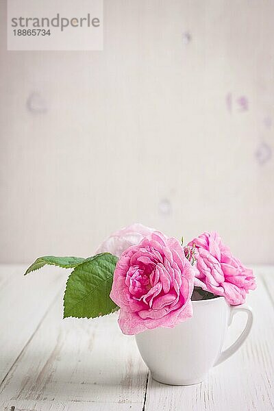 Schöne rosa Teerosen auf einem weißen Holzhintergrund. Romantischer Hintergrund. Rustikaler Shabby-Rahmen