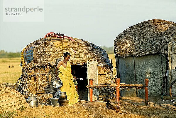 Eine alte Frau beim Kochen vor ihrer Hütte in der Nähe von Vadalur  Neyveli  Tamil Nadu  Südindien  Indien  Asien