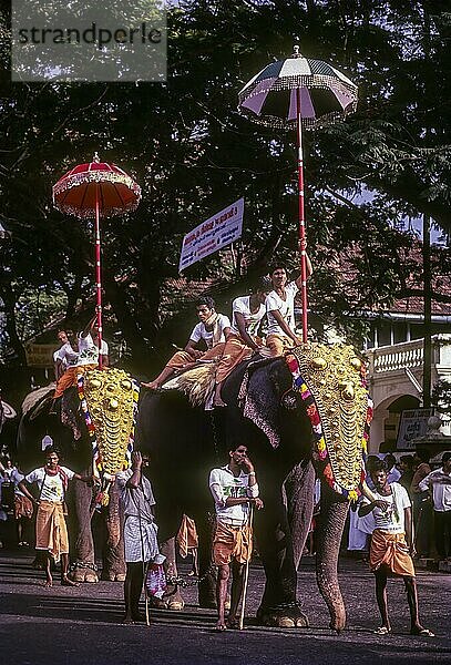 Großes Elefantenmarschfest in Thiruvananthapuram Trivandrum  Kerala  Südindien  Indien  Asien