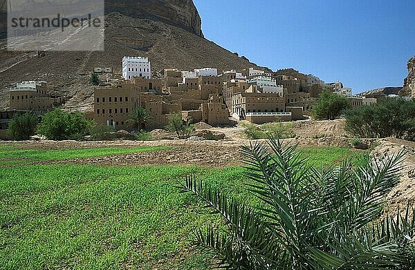 Oase 'Wadi Al Ain'  Jemen  Asien