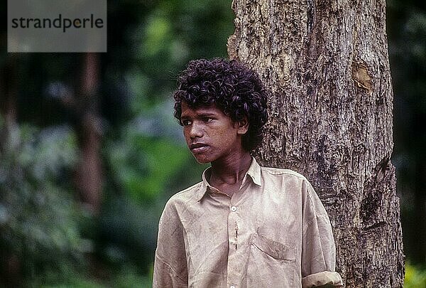 Junge vom Stamm der Jenu Kurumba in Nagarhole  Karnataka  Südindien  Indien  Asien