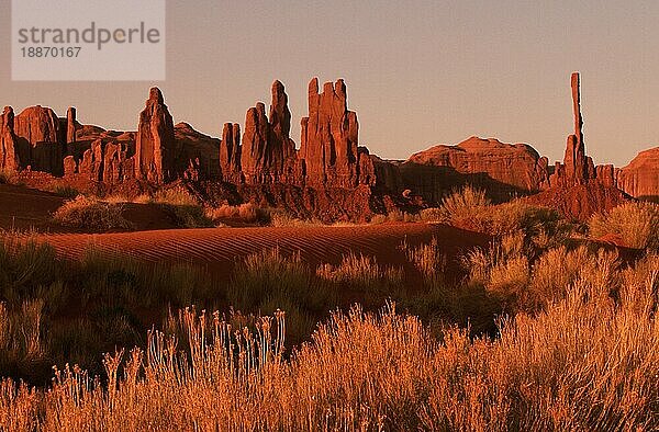 Felsformation Totempfahl  Monument Valley  Utah  USA  Nordamerika