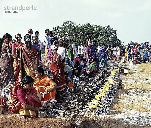 Frauen bei der Zubereitung von Sevvai Pongal im Dorf Paganeri  Sivaganga  Tamil Nadu  Indien  Asien