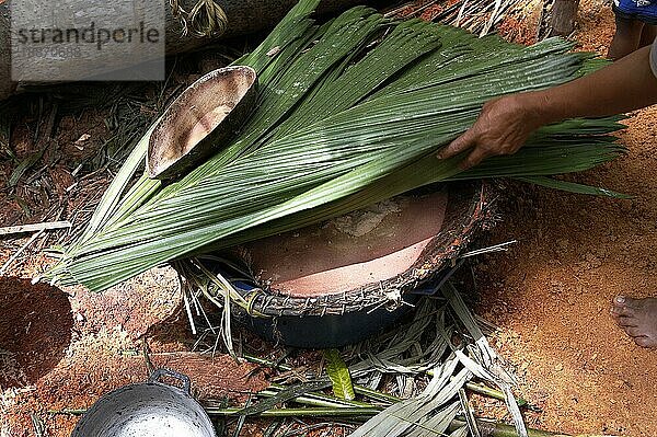 Korb der Warao-Frau  Indianer aus dem Orinoco-Delta  Blätter der Palme  mauritia flexulosa  Venezuela  Südamerika