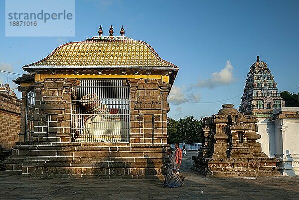 Nandi Mandapam im Thillai Nataraja Tempel  Chidambaram  Tamil Nadu  Südindien  Indien  Asien