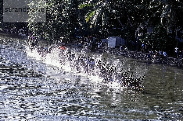 Schlangenbootrennen in Payippad bei Haripad  Kerala  Südindien  Indien  Asien