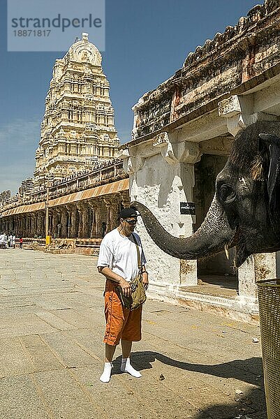 Gläubige erhalten den Segen des Tempelelefanten im Virupaksha-Tempel in Hampi  Karnataka  Südindien  Indien. UNESCO-Welterbe