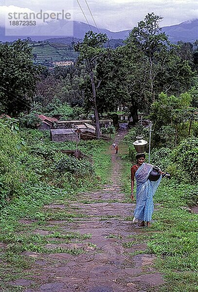 Stammesangehörige Frau trägt Wasser in den Biligirirangana Hills B R Hills in Karnataka  Südindien  Indien  Asien