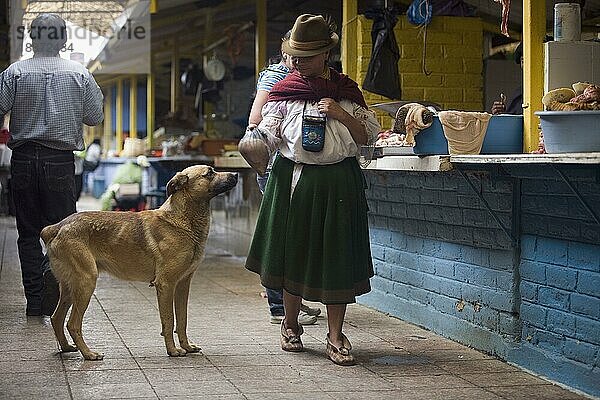 Straßenhund bettelt um Futter  Frau an Straßenrestaurant  Otavalo  Provinz Imbabura  Ekuador