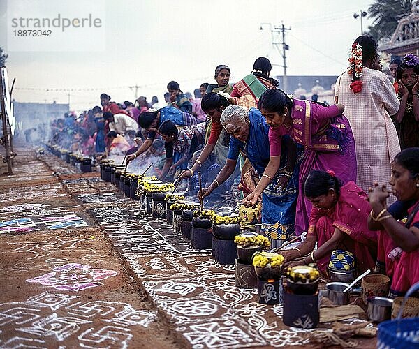 Frauen bei den Vorbereitungen zum Sevvai Pongal Fest im Dorf Paganeri  Sivaganga  Tamil Nadu  Indien  Asien