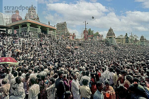 Besprengen der Menschen mit Brahmma theertham (heiliges Wasser) während des Mahamakham Festes in Kumbakonam  Tamil Nadu  Indien  Asien