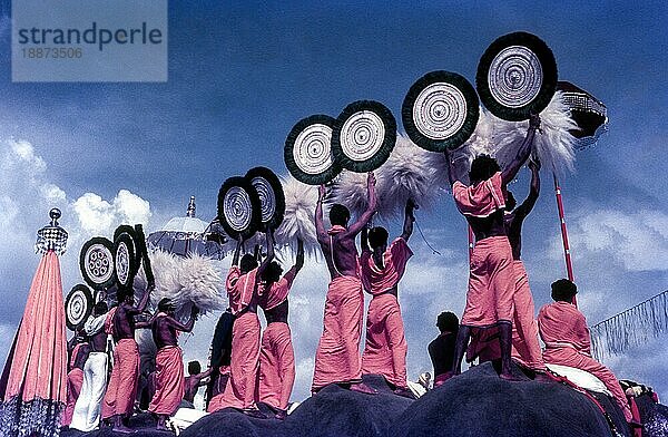 Bunter Blick auf die Thiruvembady-Gruppe beim Pooram-Fest in Thrissur Trichur  Kerala  Südindien  Indien  Asien