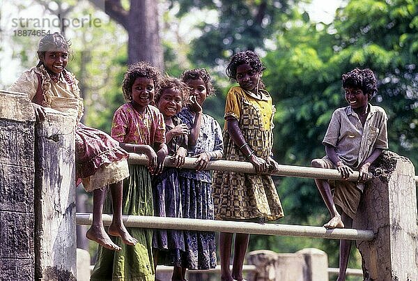 Stammeskinder in Belle  Kabini  Karnataka  Südindien  Indien  Asien