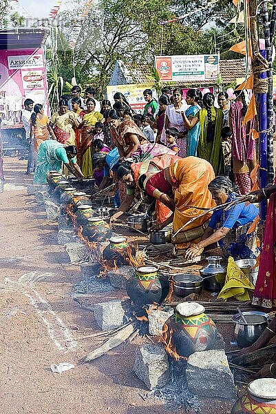 Frauen beim Pongal-Fest in Pollachi  Tamil Nadu  Südindien  Indien  Asien