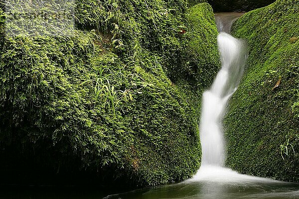 Baden-Württemberg  Nordschwarzwald  Monbachtal  Wasserfall  Wasserfall  Deutschland  Europa