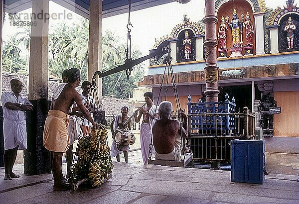 Thulabaram Opferung von Bananen und Kochbananen im 2000 Jahre alten Varkala Janardhana Swamy Tempel in Kerala  Südindien  Indien  Asien