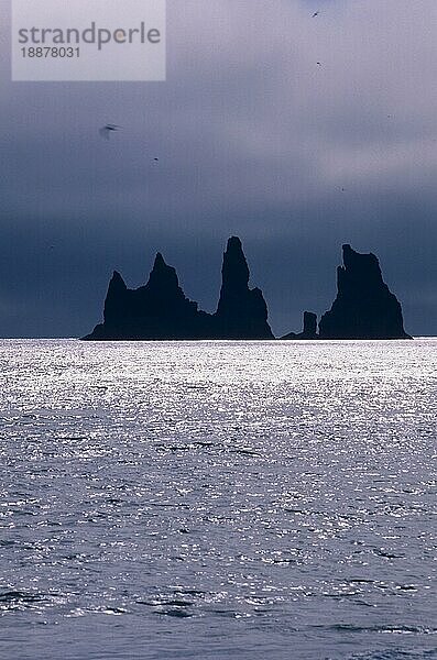 Felsen im Meer  Reynisfjara  Halbinsel Dyrholaey  Island  Europa