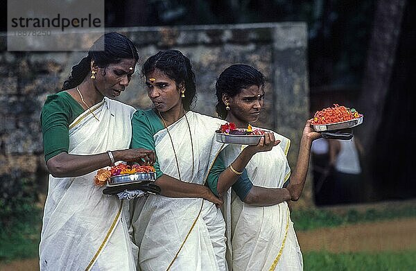 Kerala Frauen in ihrer traditionellen Kleidung bei einem festlichen Anlass Onam  Kerala  Südindien  Indien  Asien