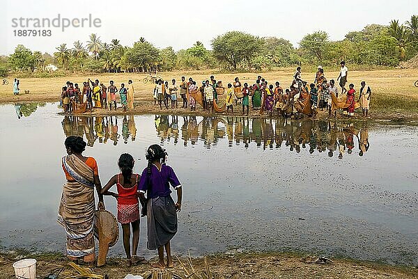 Fischereifest in Venthanpatti in der Nähe von Ponnamaravathy  Bezirk Pudukkottai  Tamil Nadu  Südindien  Inida  Asien. Während der Sommersaison  wenn das Wasser des Sees auf ein Minimum gesunken ist  versammeln sich alle Bewohner des Dorfes in diesem Seegebiet  um in einer günstigen Zeit Fische zu fangen. Sie können die Fische fangen  wie sie wollen  indem sie ein Fischerfest feiern