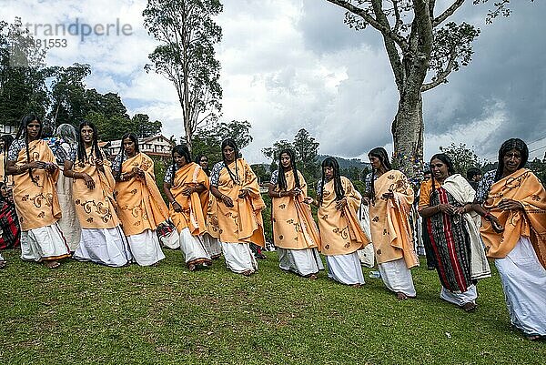 Toda-Frauen tanzen  Nilgiris  Ooty Udhagamandalam  Tamil Nadu  Südindien  Indien  Asien. Die lebhaften Lieder  die wichtige Ereignisse aus der Vergangenheit der Todas beschreiben. Einer der großen indischen Ureinwohnerstämme  Asien