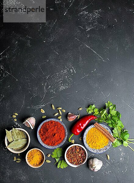 Indisches Essen Kochen Hintergrund. Traditionelle indische Gewürze und Zutaten. Curry  Kurkuma  Kardamom  Knoblauch  Pfeffer  frischer Koriander  Zimt. Zubereitung einer exotischen Mahlzeit. Ansicht von oben  Platz für Text