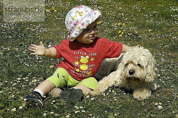 Kleinkind mit Mischlingshund