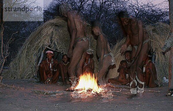 Buschmann-Familie  tanzen und singen am Lagerfeuer  Kalahari  Namibia  Afrika