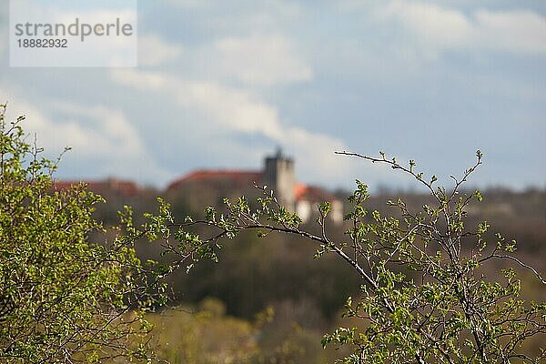 Schloss Ballenstedt