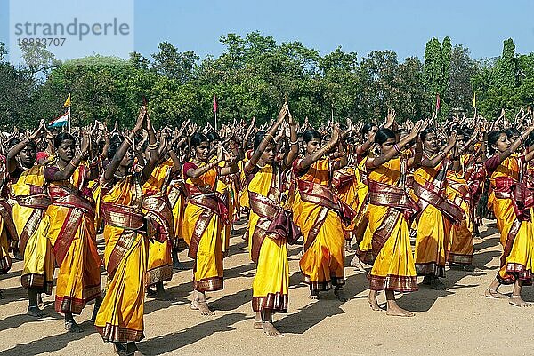 Mädchen führen Gruppentänze auf  Pongal-Feier in Madurai  Tamil Nadu  Südindien  Indien  Asien