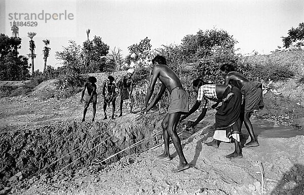 Schwarz-Weiß-Foto  Traditionelle konventionelle Bewässerung mit einer Dose  Tamil Nadu  Indien  Asien