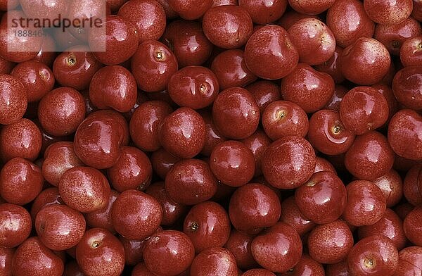 Cherries  Kirschen  Früchte  Frucht  Obst  cherry  Nahrungsmittel  food  Querformat  horizontal  Background  rot  red