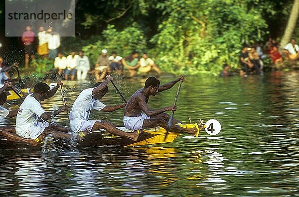 Schlangenbootrennen in Payippad bei Haripad  Kerala  Südindien  Indien  Asien