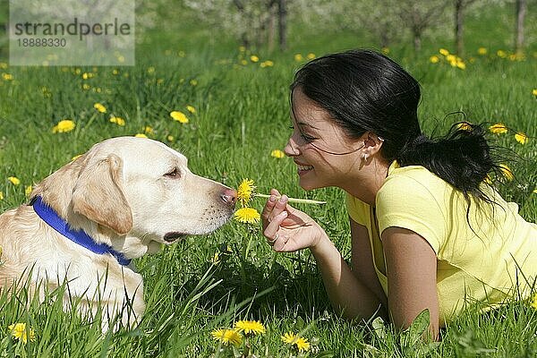 Frau und Labrador-Retriever