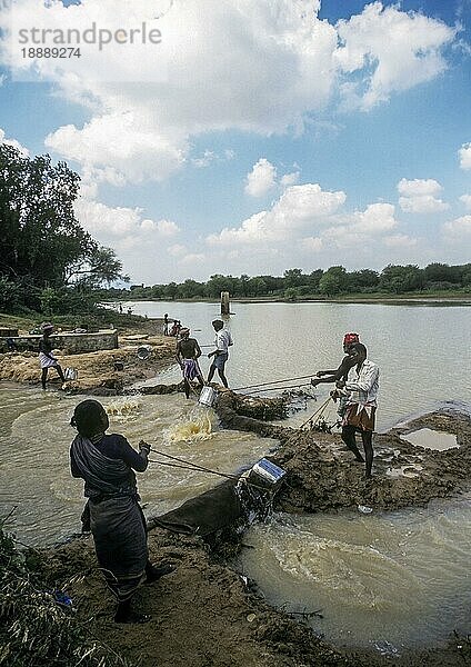 Traditionelle konventionelle Bewässerung aus einem Tank mit einer Dose  Tamil Nadu  Indien  Asien