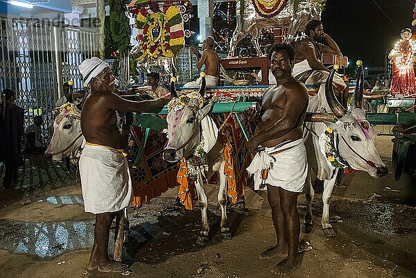 Ochsenkarren mit geschmückten Göttern während des Vinayak Chaturthi Ganesh Chaturthi Festes im Sri Karpaga Vinayakar Tempel in Pillaiyarpatti bei Karaikudi  Tamil Nadu  Südindien  Indien  Asien