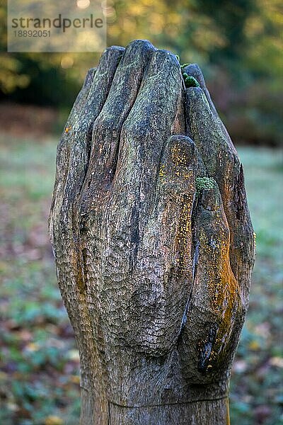 CRAWLEY  WEST SUSSEX/UK - NOVEMBER 4 : Holzschnitzerei im Buchan Country Park in Crawley  West Sussex am 4. November 2020