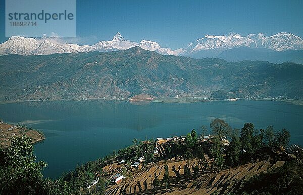 Phewa-See und Annapurna-Massiv  Pokhara  Nepal  Asien
