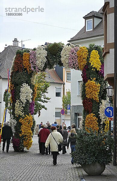 Chrysanthema in Lahr  Deutschlands größtes Open-Air-Blumenfestival im Spätherbst  verschiedene Chrysanthemen  Riesengesteck