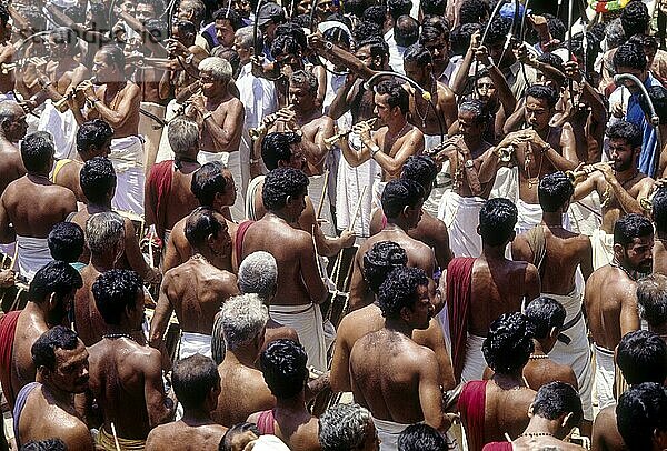 Die Musiker beim Pooram-Festival  Thrissur Trichur  Kerala  Südindien  Indien  Asien