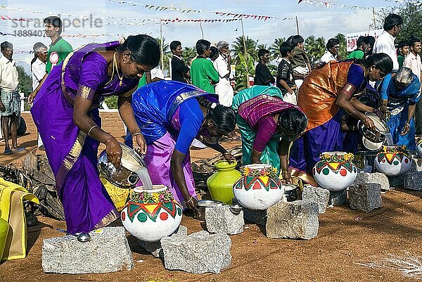 Frauen beim Pongal-Fest in Pollachi  Tamil Nadu  Südindien  Indien  Asien