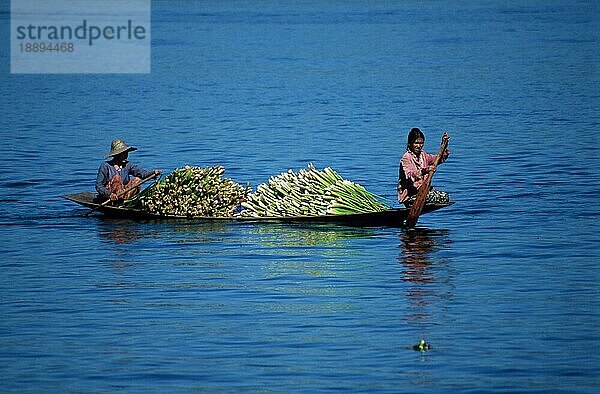 Frauen in Ruderboot mit Gemüse  Inle-See  Shan-Staat  Myanmar  Asien