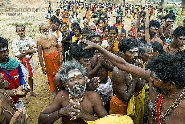 Ein Mann bestreicht einen gottbesessenen Pilger mit heiliger Asche während des Vaikasi Visakam Festivals in Tiruchendur  Tamil Nadu  Südindien  Indien  Asien