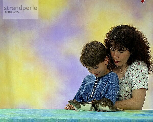 Woman and boy with Domestic Rats  Frau und Junge mit Farbratten  innen  Studio