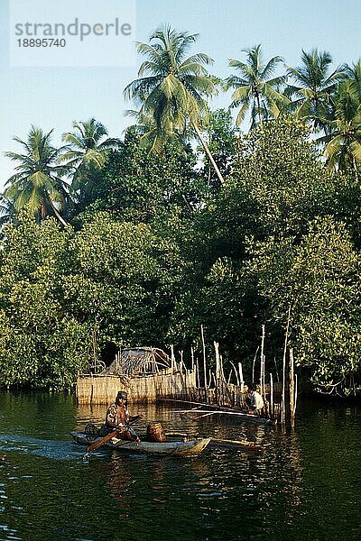 Mann mit Ruderboot  Blue Lagoon  Sri Lanka  Asien
