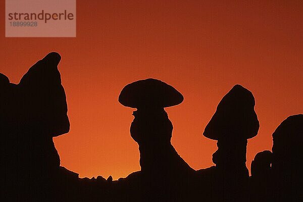 Steinformationen  Goblin Valley State Park  Utah  USA  Nordamerika