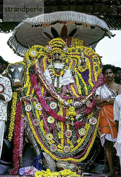 Lord Kumbeswara mit der Göttin Mangalambigai in dekorierten Rishaba Vahanam Plätzen am Ufer des Mahamakam Mahamaham Mahamagam Tanks in Kumbakonam  Tamil Nadu  Indien  Asien