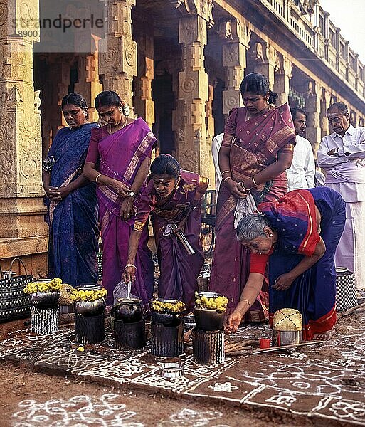 Pongal Fest oder Sevvai Pongal im Dorf Nattarasankottai  Sivaganga  Tamil Nadu  Indien  Asien